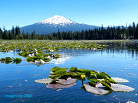 Images - HOSMER VIEW to MT. Bachelor copy_edited-1