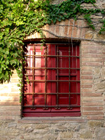 Red Window